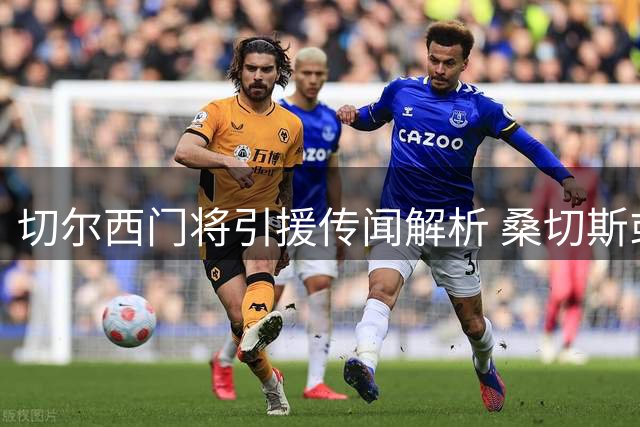 切尔西门将引援传闻解析 桑切斯或成主力人选