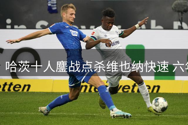 哈茨十人鏖战点杀维也纳快速 六年后重返欧协联赛场