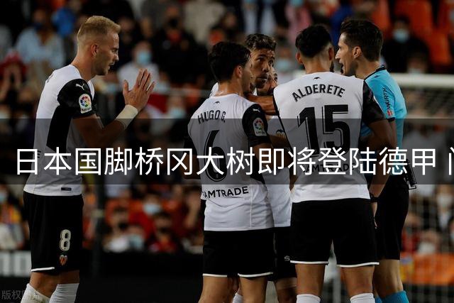 日本国脚桥冈大树即将登陆德甲 门兴租借协议含强制买断条款