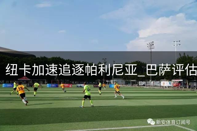 纽卡加速追逐帕利尼亚 巴萨评估哲凯赖什转会方案